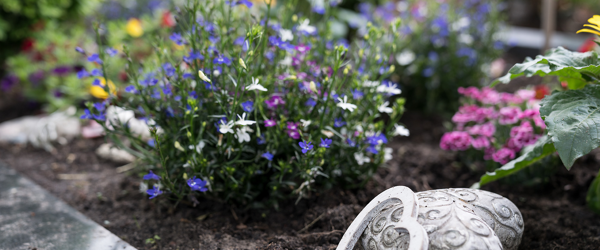 FVWEM_Slideshow_Fruehling_12