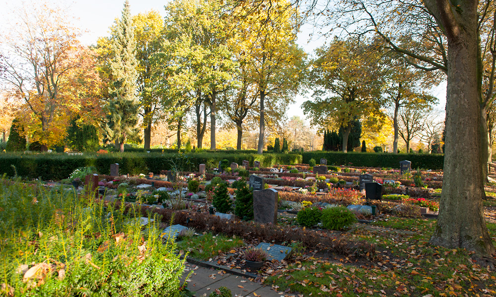 Friedhof-Feldstrasse-Herbst-18-121