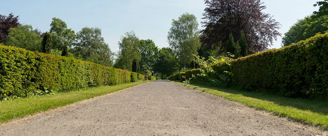 FVWEM_Slideshow_Fruehling_06