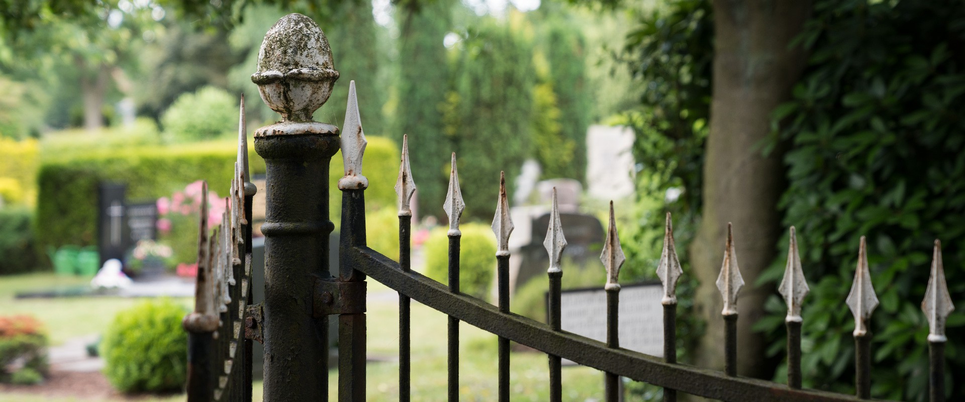 FVWEM_Slideshow_Fruehling_17